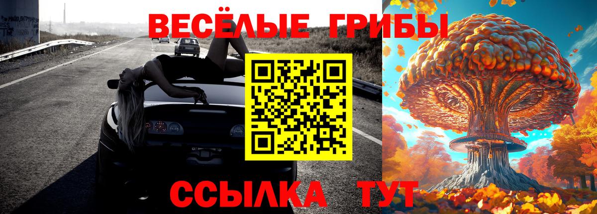 Псилоцибиновые грибы мухоморы Реутов
